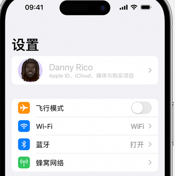 冷水江appleID维修服务iPhone设置中Apple ID显示为灰色无法使用 