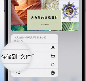 冷水江apple维修中心分享iPhone文件应用中存储和找到下载文件