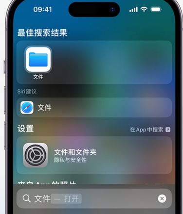 冷水江apple维修中心分享iPhone文件应用中存储和找到下载文件 