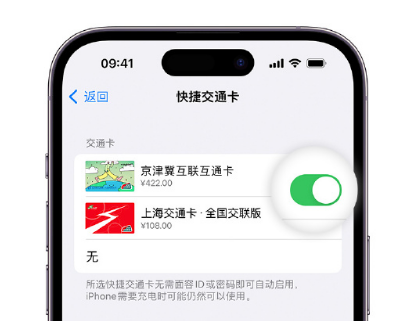 冷水江apple维修点分享iPhone上更换Apple Pay快捷交通卡手绘卡面 