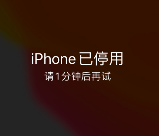 冷水江苹果手机维修分享:iPhone 显示“不可用”或“已停用”怎么办？还能保留数据吗？ 