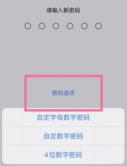 冷水江苹果14维修分享iPhone 14plus设置密码的方法 