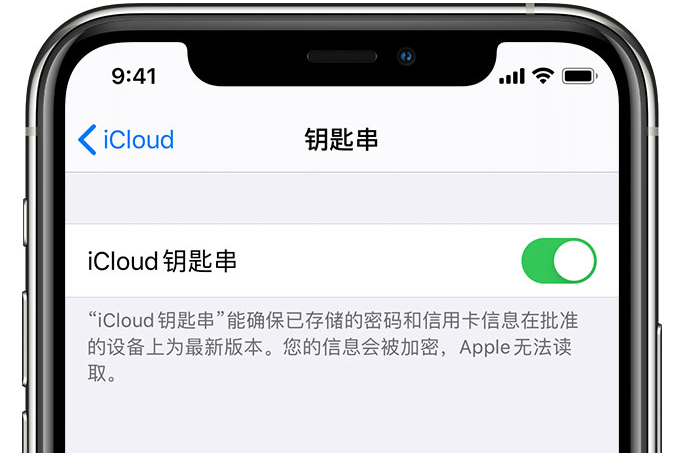 冷水江苹果手机维修分享在 iPhone 上开启 iCloud 钥匙串之后会储存哪些信息 