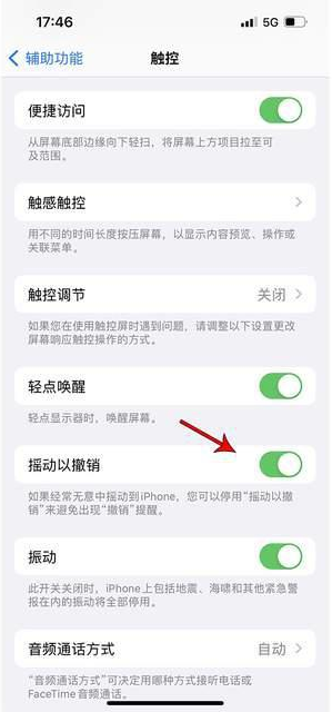 冷水江苹果手机维修分享iPhone手机如何设置摇一摇删除文字 