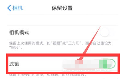 冷水江苹果13维修分享iPhone13拍照有绿点是怎么回事 