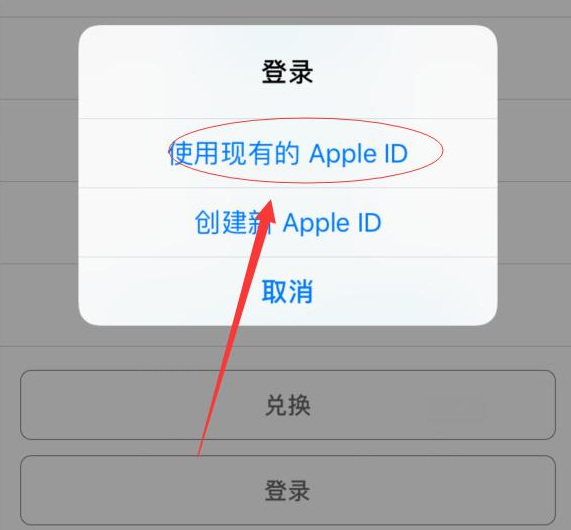 冷水江苹果手机维修分享两台iPhone设备可以同时登录一个Apple ID吗 