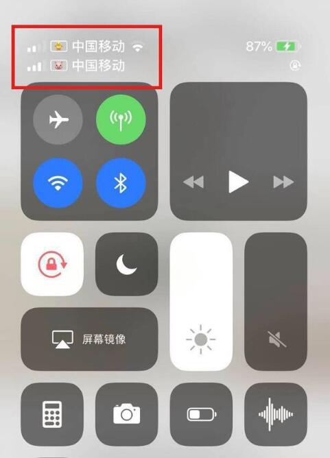 冷水江苹果手机维修分享为 iPhone 12 双卡设置标签 