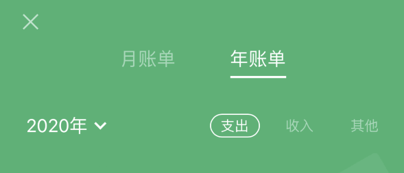 冷水江苹果手机维修分享如何在 iPhone 上查看支付宝和微信年支出账单 