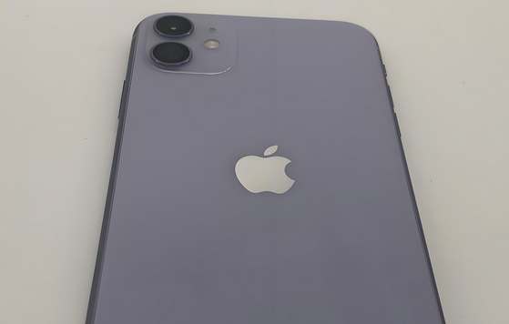 冷水江苹果11系统维修分享iPhone11手机系统崩溃无法开机如何解决 